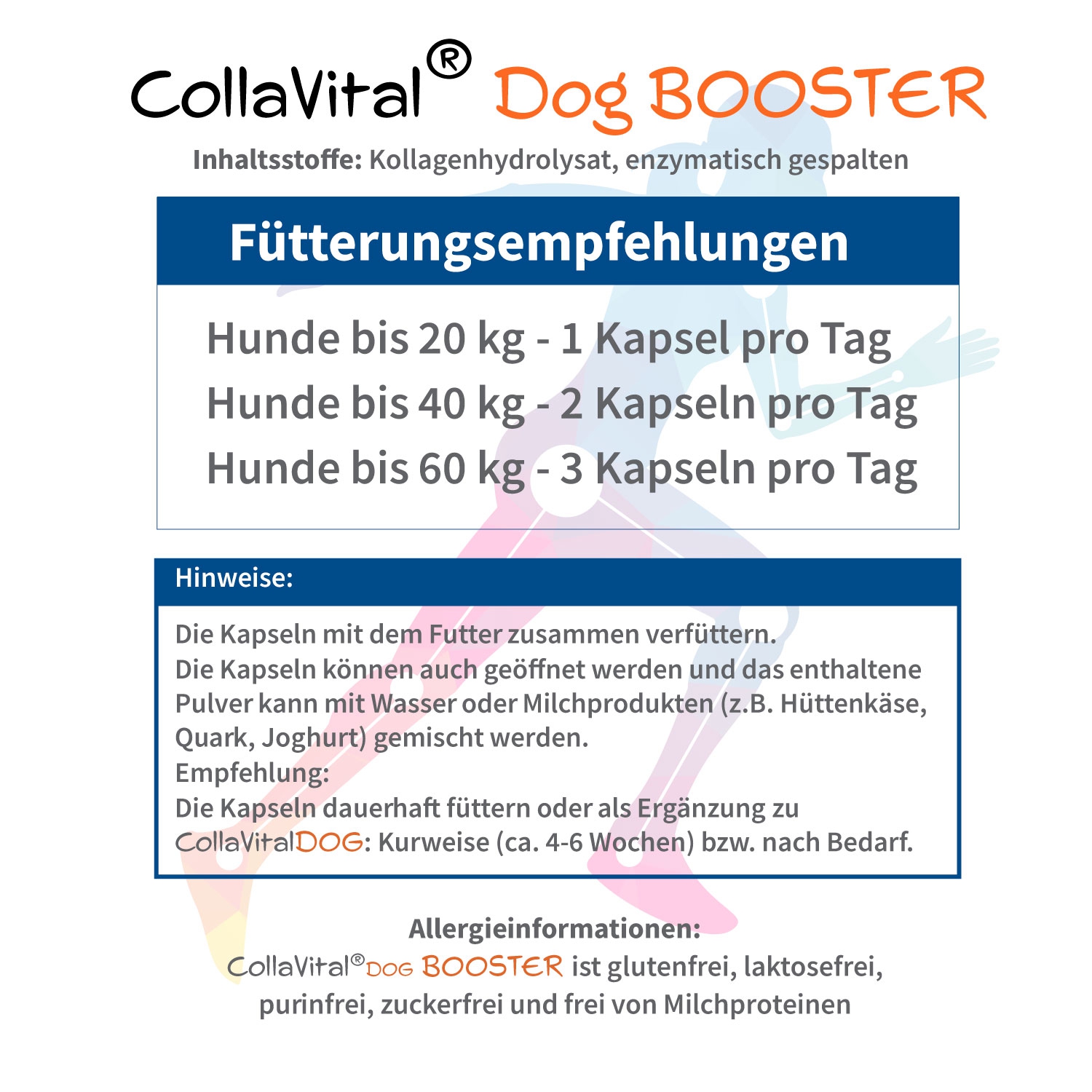 Collavital® Dog BOOSTER Collagen - 40 Kapseln – Bioaktives Kollagen Hydrolysat Typ 2  für Hunde
