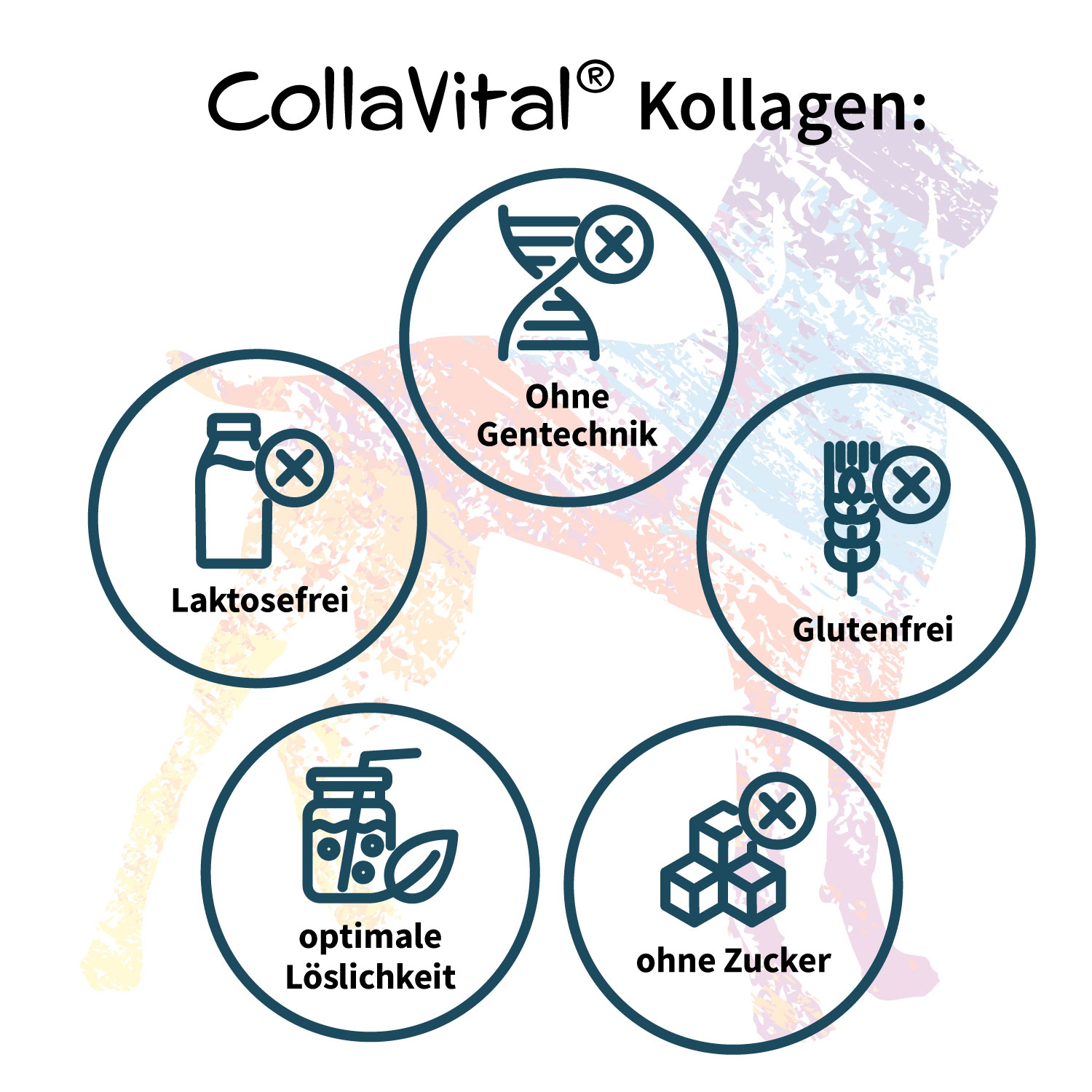 6 x Collavital® DOG Collagen Pulver [230g] – Bioaktives Kollagen Hydrolysat