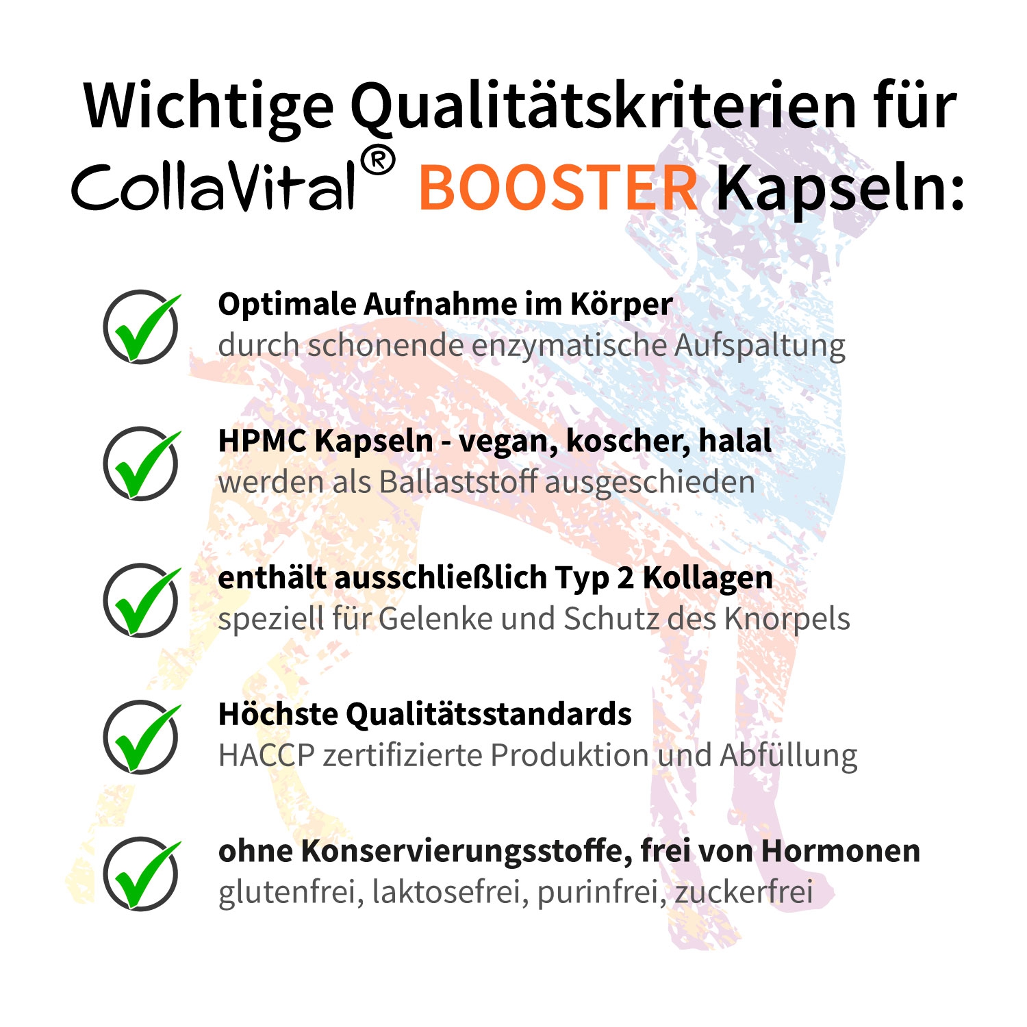 Collavital® Dog BOOSTER Collagen - 40 Kapseln – Bioaktives Kollagen Hydrolysat Typ 2  für Hunde